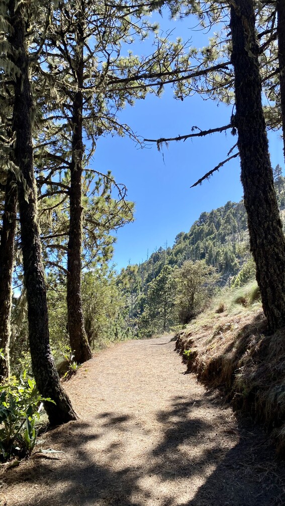 Acatenango vulkaan beklimmen de route