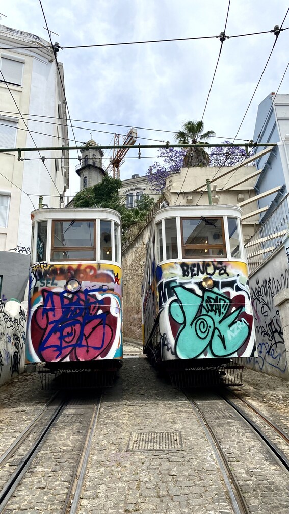 Trams in Lissabon Portugal