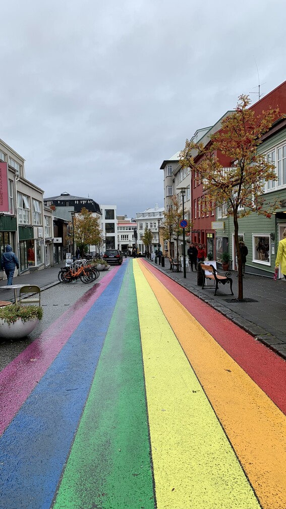 Laugavegur Reykjavik