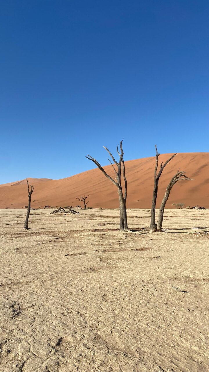 Sossusvlei woestijn in Namibie