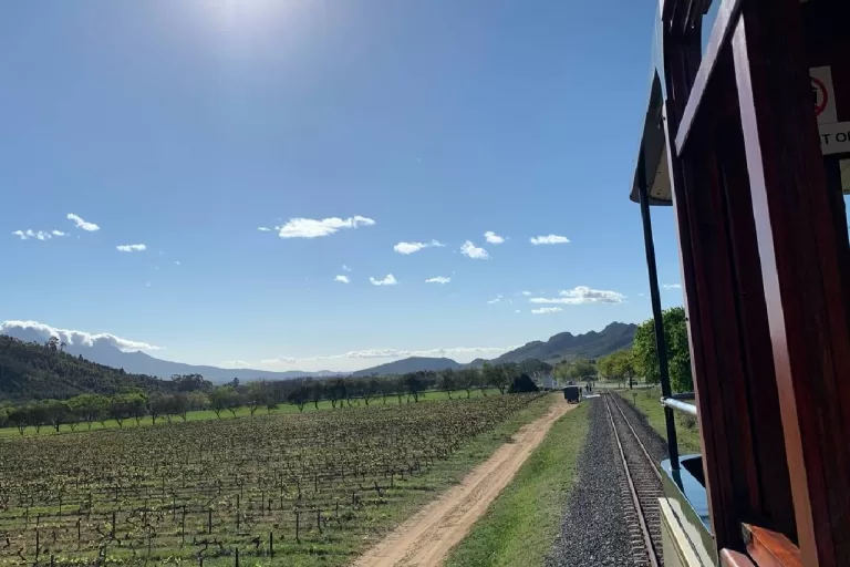 Uitzicht vanuit de wine tram Franschhoek Zuid Afrika