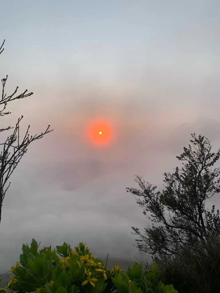 Lions Head Kaapstad bezienswaardigheden