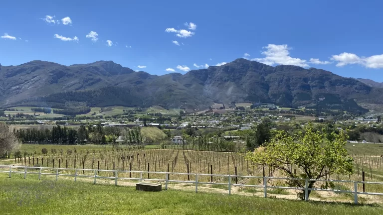 Franschhoek wijngaard