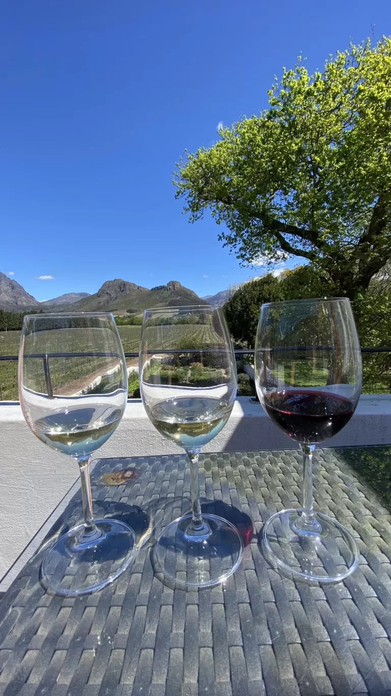 La Bri Wine Estate wijn Franschhoek Kaapstad