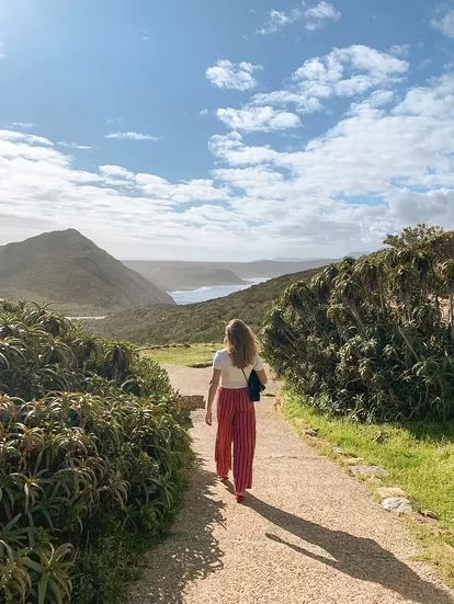 Table Mountain National Park