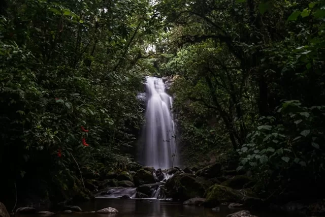 Header blog Boquete waterfalls hike