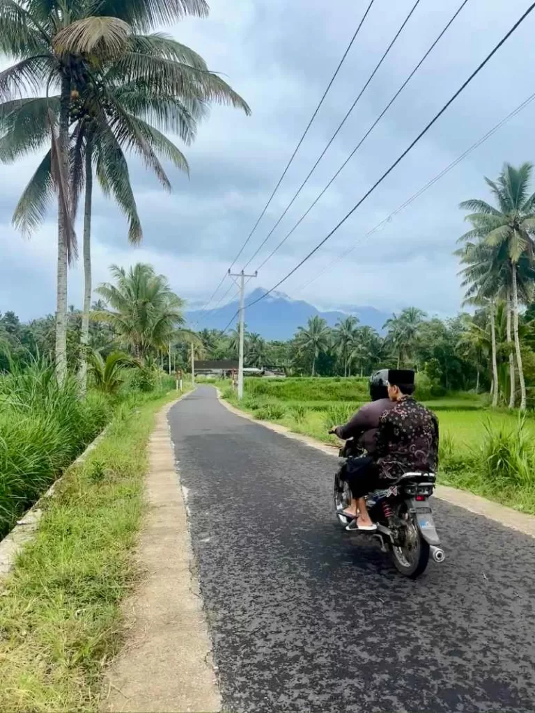 Tetebatu rijstvelden