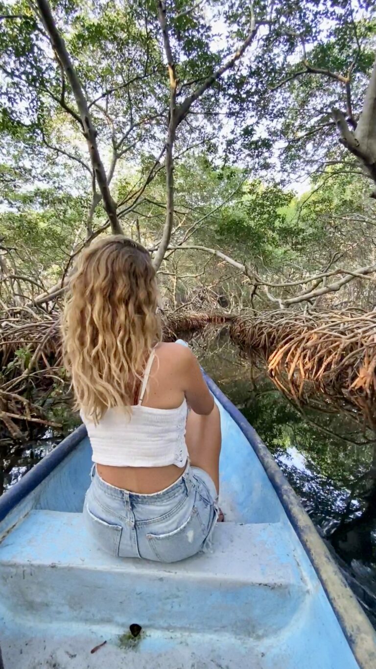 Isla Grande mangrove Cartagena