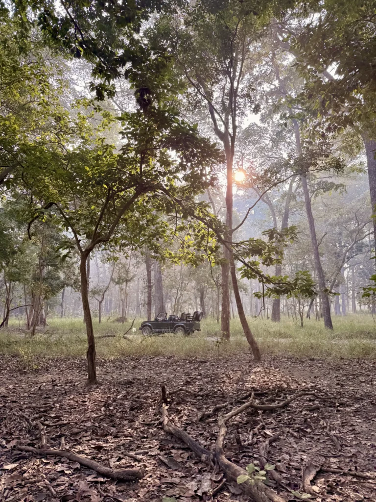 Bardia National Park Jeep safari