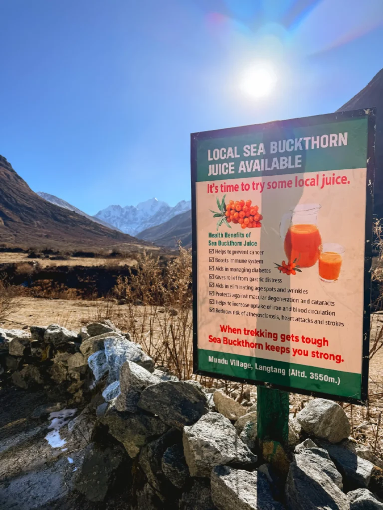 Seabuckthorn sign