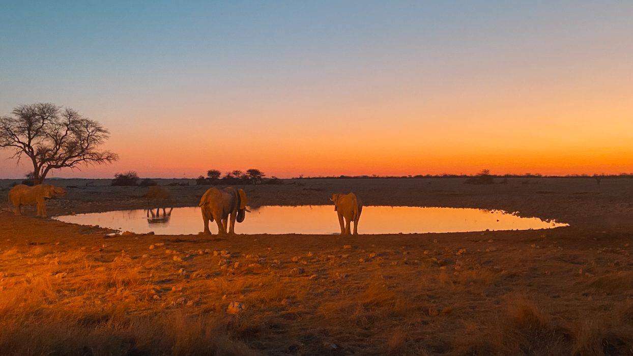 Okaukuejo Namibie etosha